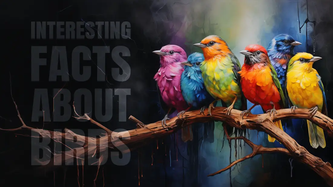 Interesting facts about birds that inhabit the earth