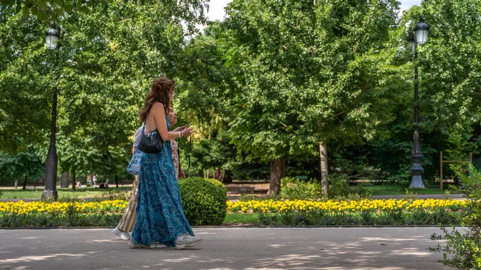 Retiro Park in Madrid.