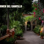 Tetería Carmen del Campillo an Oriental teahouse on the Costa Blanca