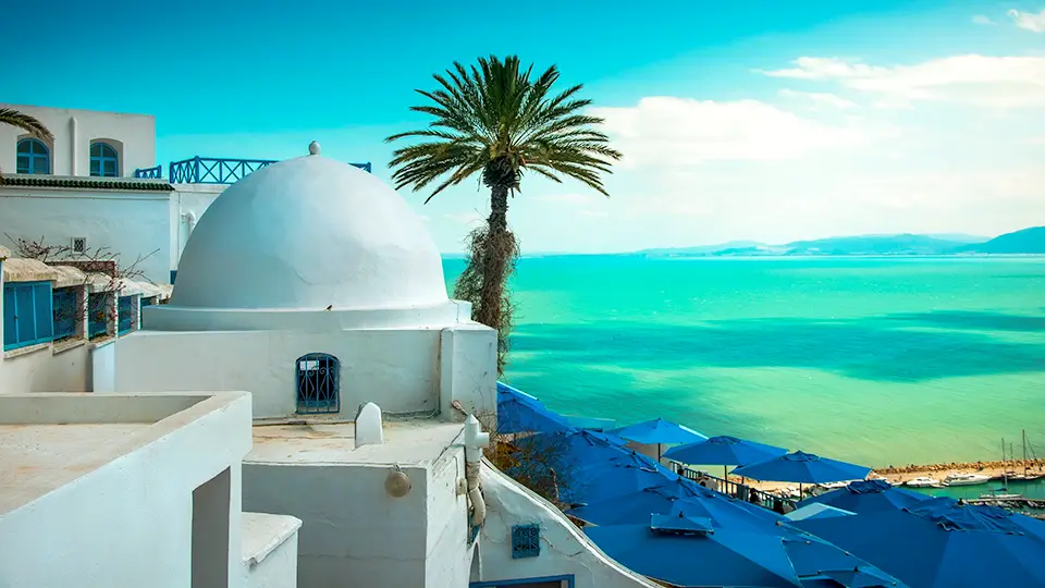 Tunis and Sidi Bou Said.