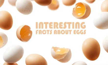 Interesting facts about eggs and a lot of information