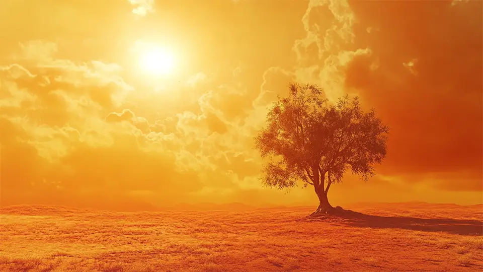 Interesting Facts about weather AI.