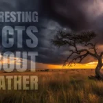 Interesting Facts about weather AI.
