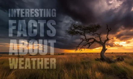 Interesting facts about weather and much more