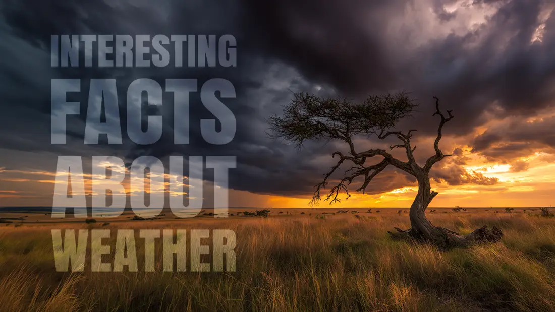 Interesting facts about weather and much more