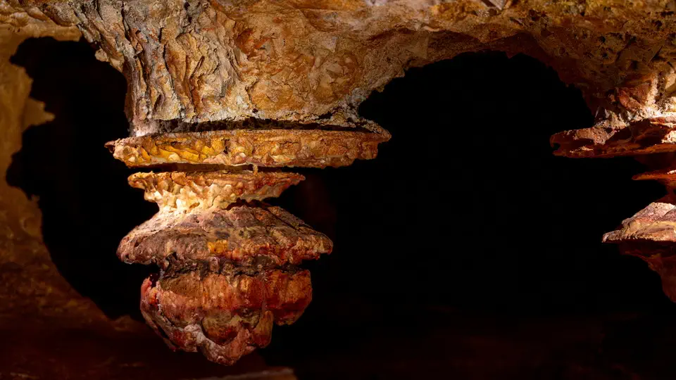Cosquera Cave in Marseille.