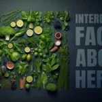 Interesting facts about herbs AI.