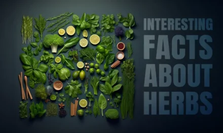Interesting facts about herbs History, and Plant Secrets