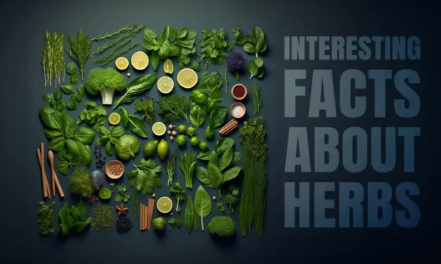 Interesting facts about herbs History, and Plant Secrets